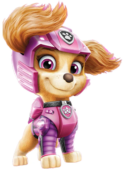 Skye center